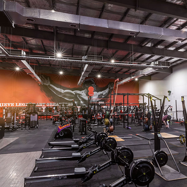 Gym Rack Equipment